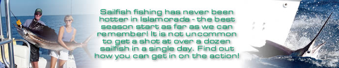sailfish fishing