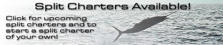 islamorada split charters
