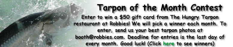 Tarpon Contest