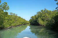 Rental Boats