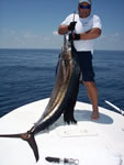 Boat Rentals
