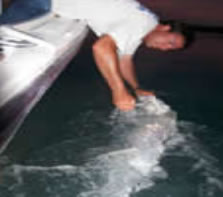 florida keys fishing captains