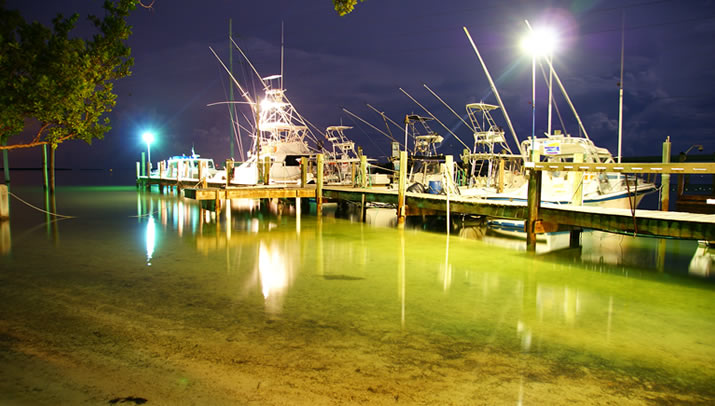 Fishing in Islamorada at Robbie's