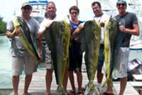 Dolphin Fishing in the florida keys