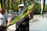 fishing for dolphin in the keys