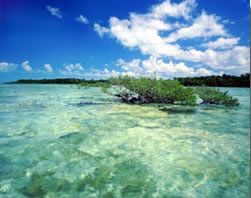 Eco-Sunset Tours