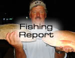 florida keys fishing report