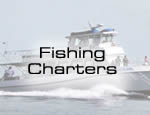 Fishing Tours