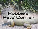 pet corner