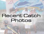 Recent Catch Photos