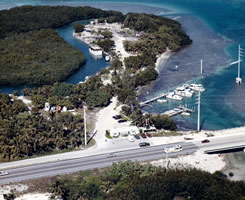 History of Robbie's in Islamorada