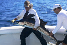 Fishing in Islamorada