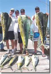 Fishing in Islamorada