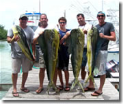Fishing in Islamorada