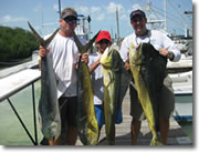 Fishing in Islamorada