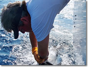 Fishing in Islamorada