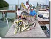 Fishing in Islamorada