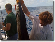Fishing in Islamorada