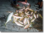 Fishing in Islamorada