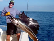 Sailfish Fishing