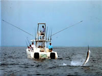 Sailfish Fishing