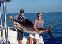 Sailfish Fishing
