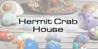Hermit Crabs