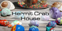 Hermit Crabs