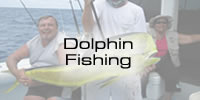 Dolphin Fishing in Islamorada