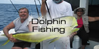 Dolphin Fishing in Islamorada