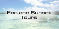 Eco Sunset Tours