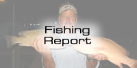 Islamorada Fishing Report