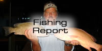 Islamorada Fishing Report