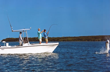 shark and tarpon fishing in islamorada