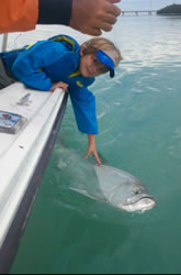 shark and tarpon fishing in islamorada