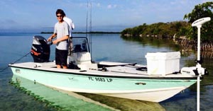 Live Action Fishing