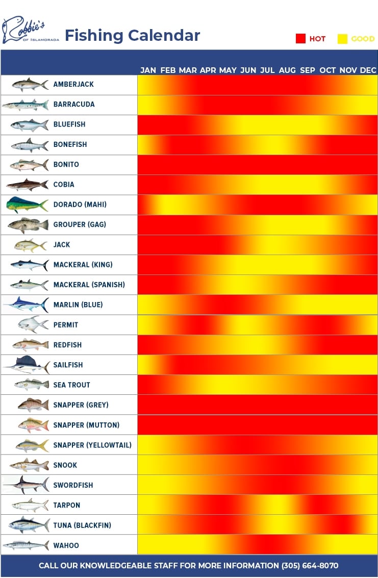 Florida Keys Fishing Seasons Chart