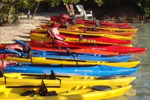 Kayak and Paddleboards Rental Kayak Rentals - Contact us