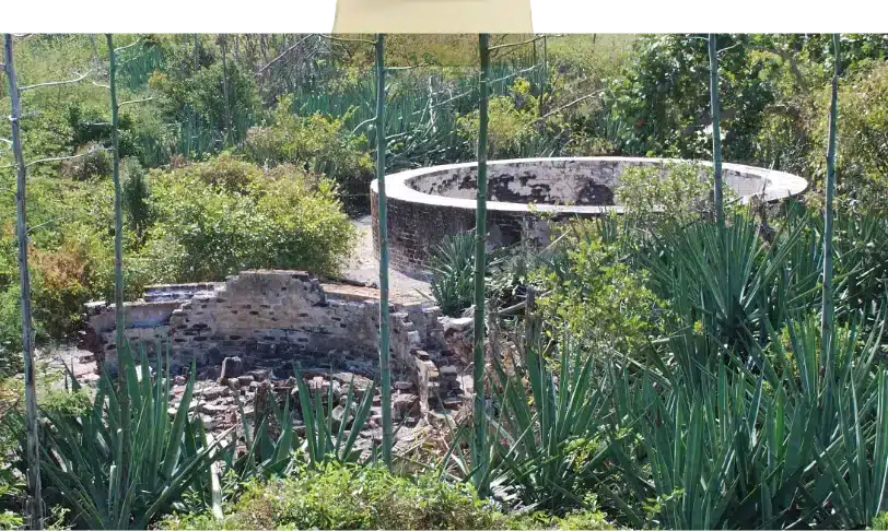 Indian Key Cistern