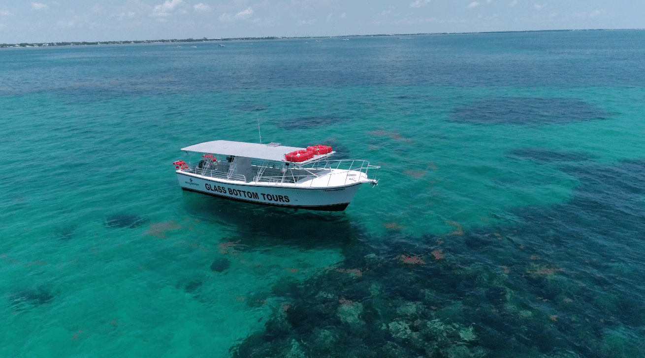 Glass Bottom Boat Tour in Islamorada