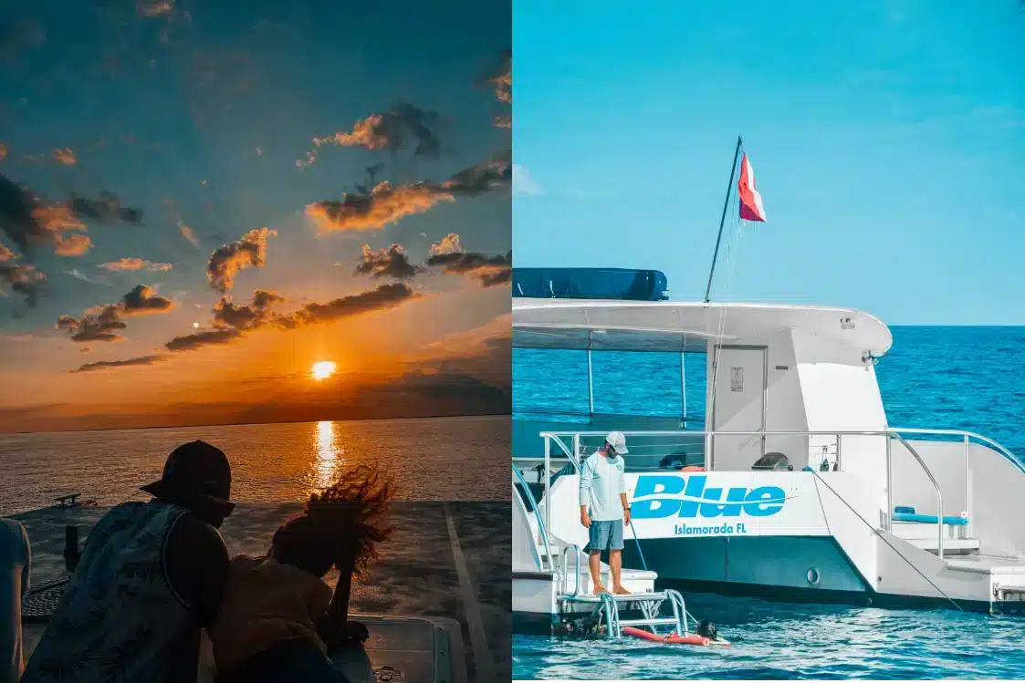 Sunset CruisesWatersports at Robbie’s of islamorada