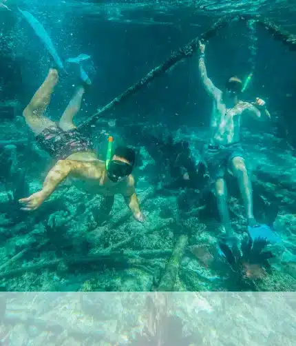 Men snorkelling in Islamorada