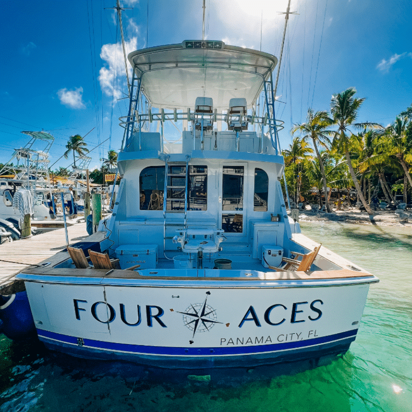 Four aces at Robbies at islamorada