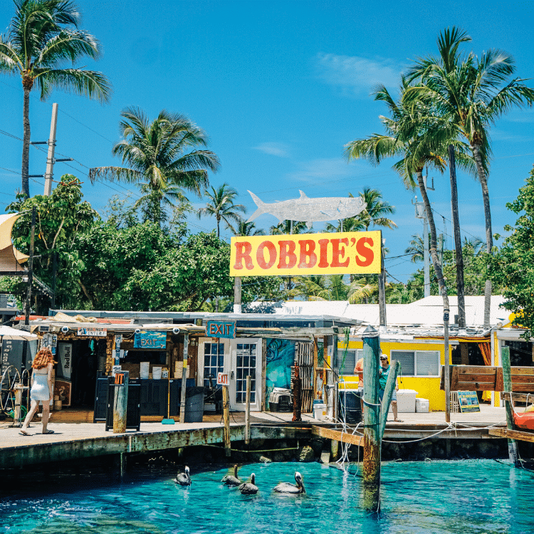 Robbie’s Marina of Islamorada