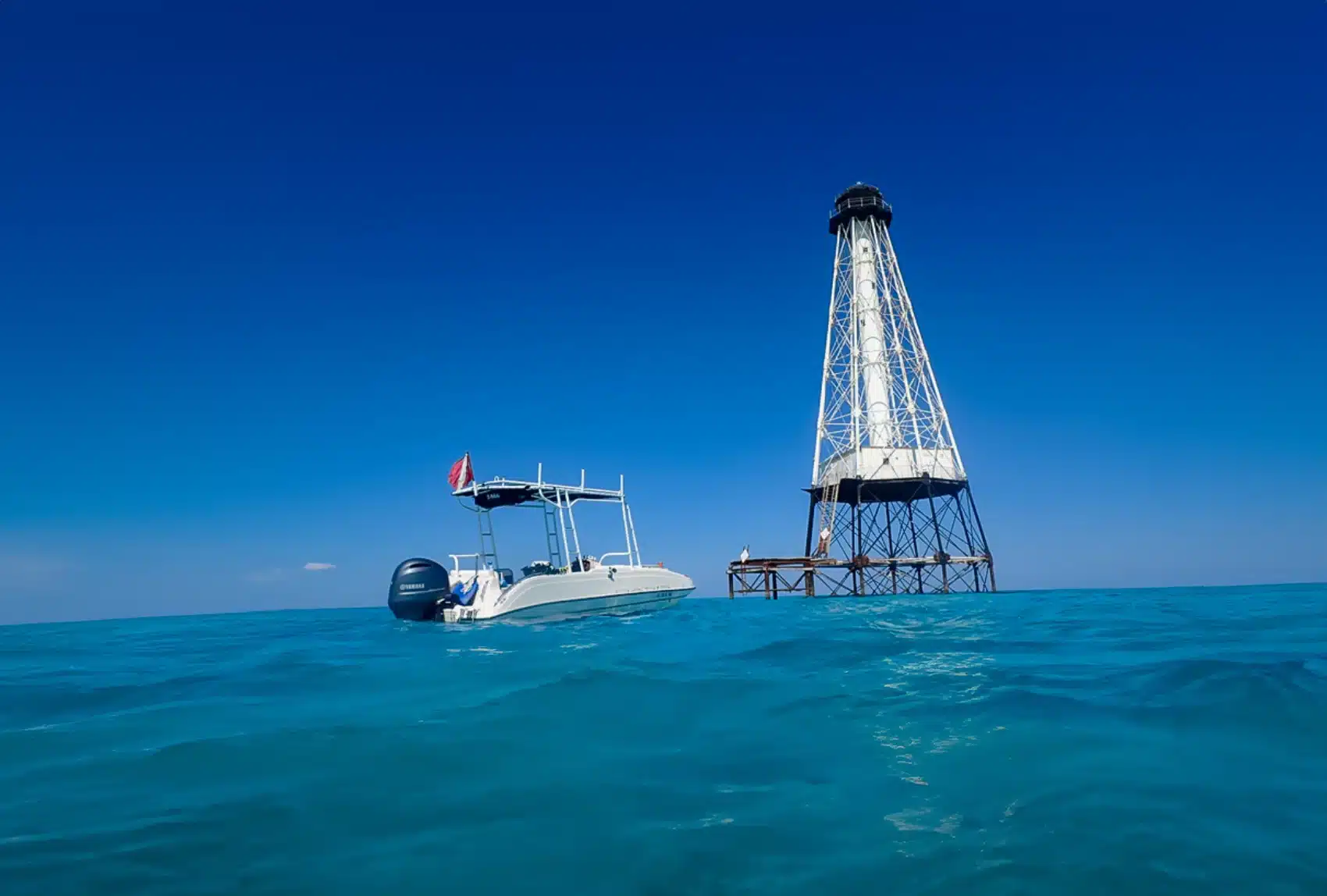 Eco-Tours Charter & Offshore Fishing in Islamorada