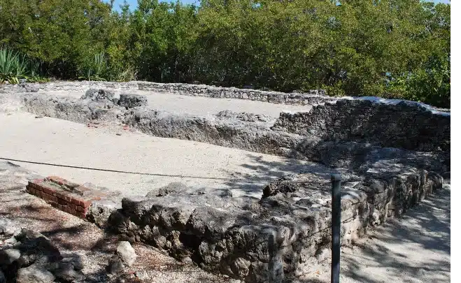 Componente 53 – 4