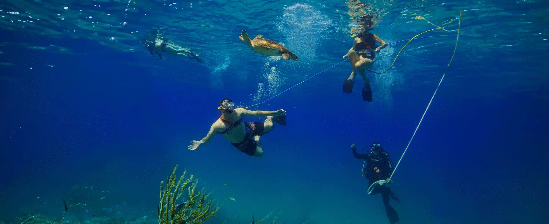 What Is Snuba Diving? History, Benefits, Equipment & Safety Tips 1 What is snuba diving?