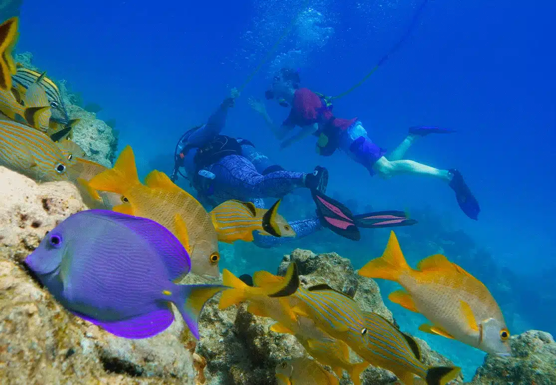 Sundance Watersports Snuba Diving
