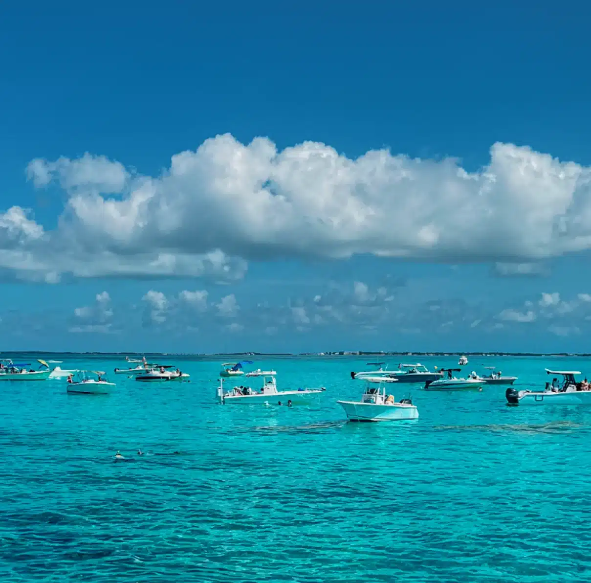BOAT RENTALS