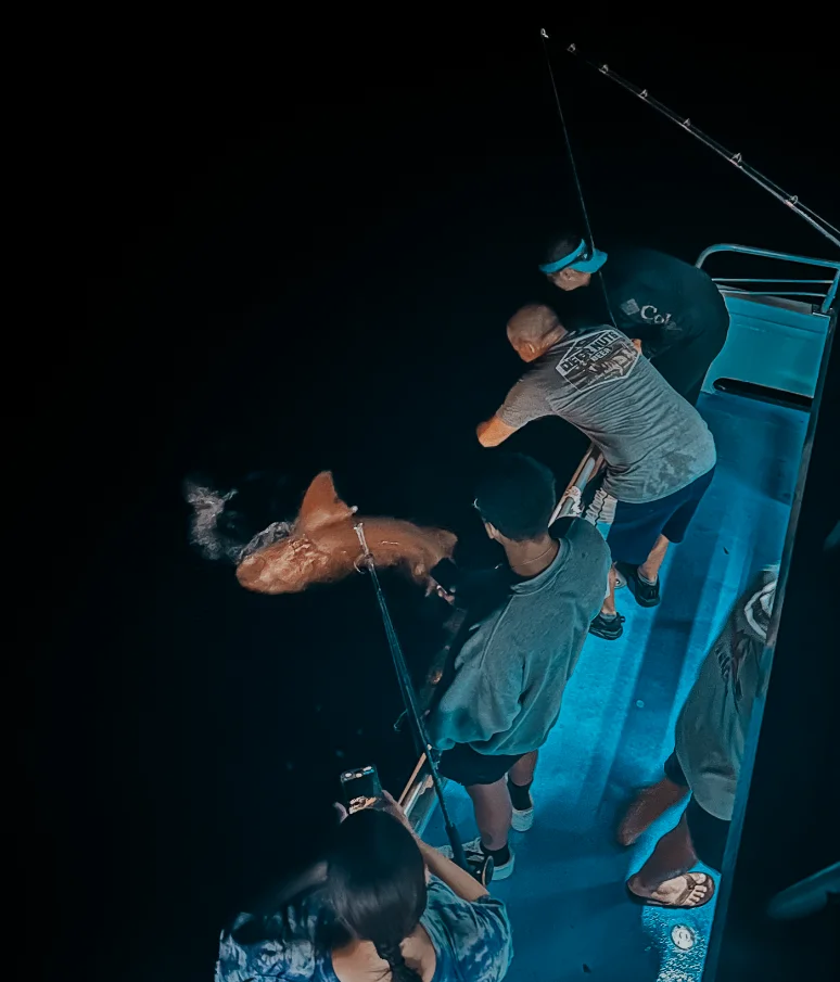 NIGHT FISHING CHARTER IN ISLAMORADA